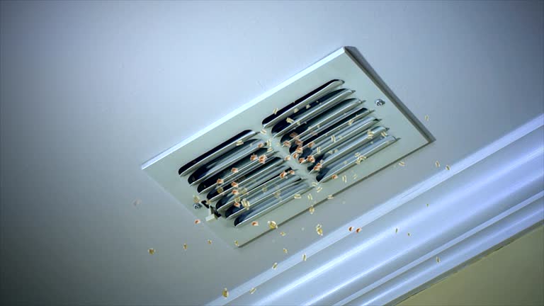 Best Residential Air Duct Cleaning  in Plainfield Village, CT
